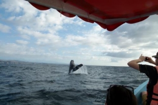 No te pierdas esta foto